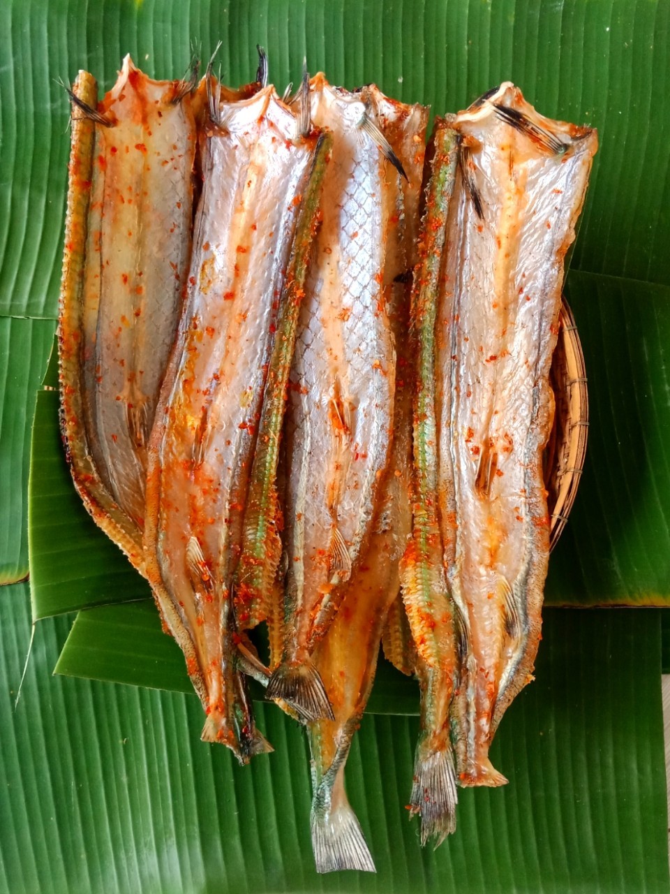 khô cá xương xanh