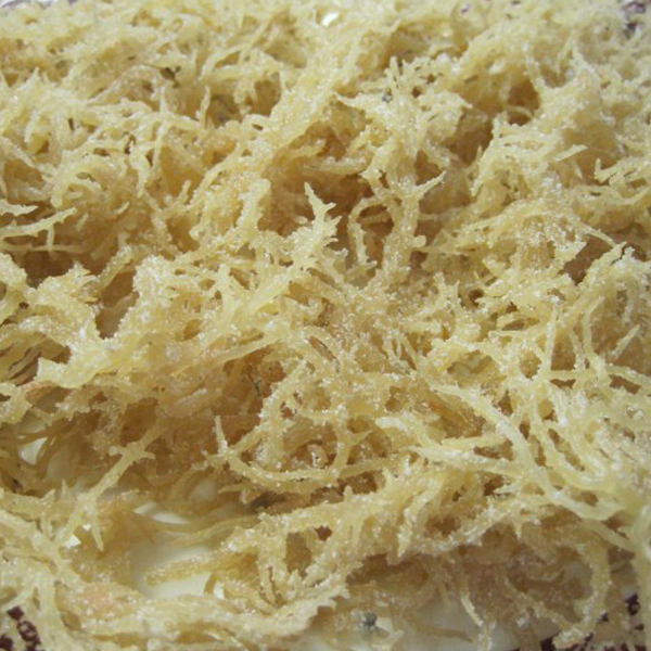 rau cau chan vit kho 1